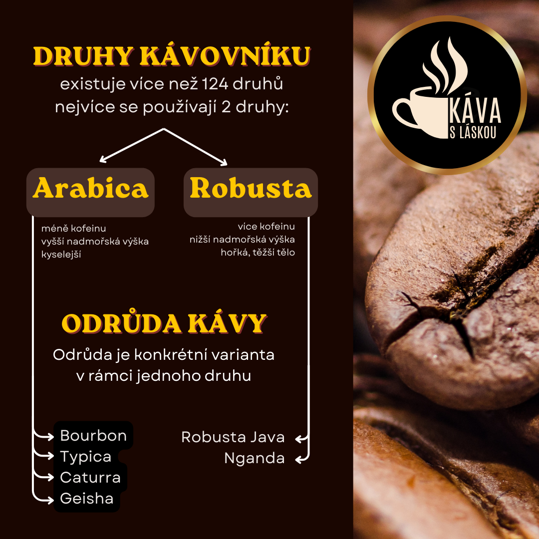 Hierarchie druhů a odrůd